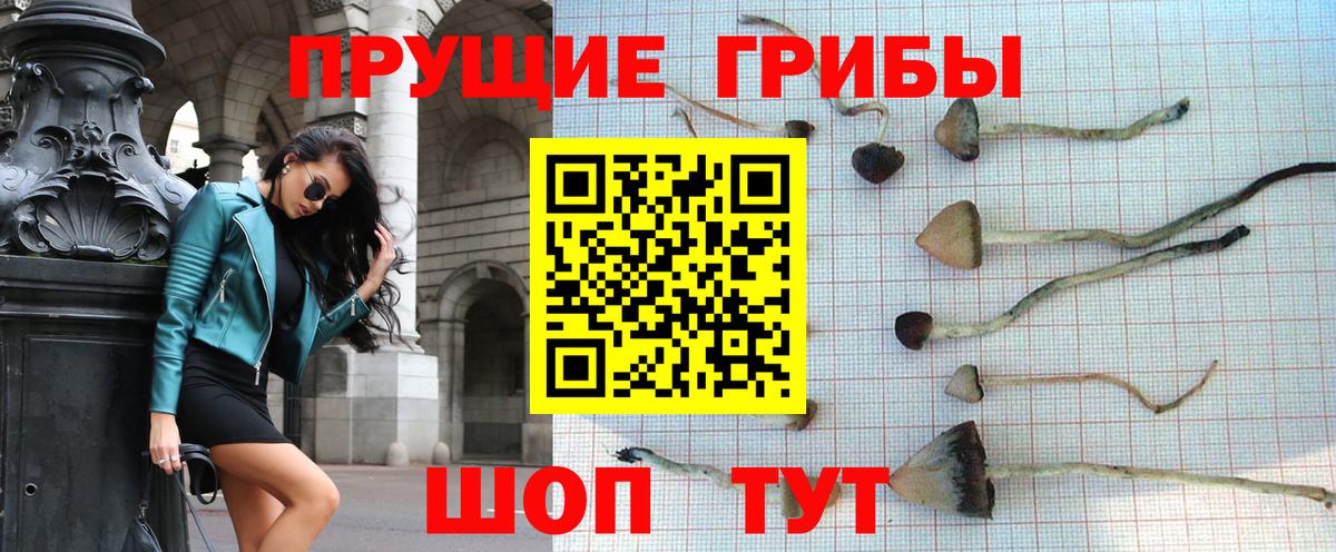 Псилоцибиновые грибы мицелий Феодосия
